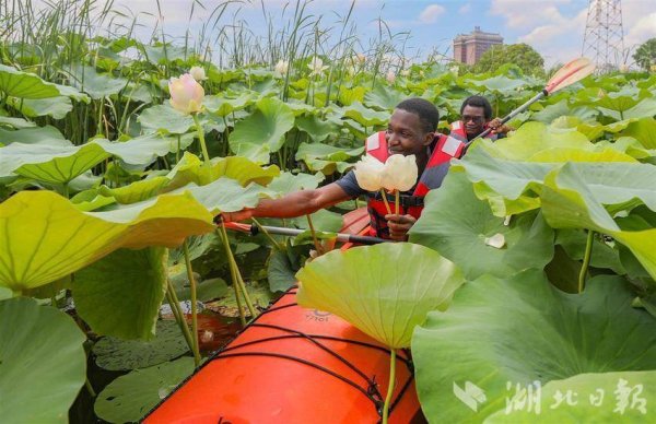 太原股票配资网 【视点】晨昏皆入画 荷香满江城